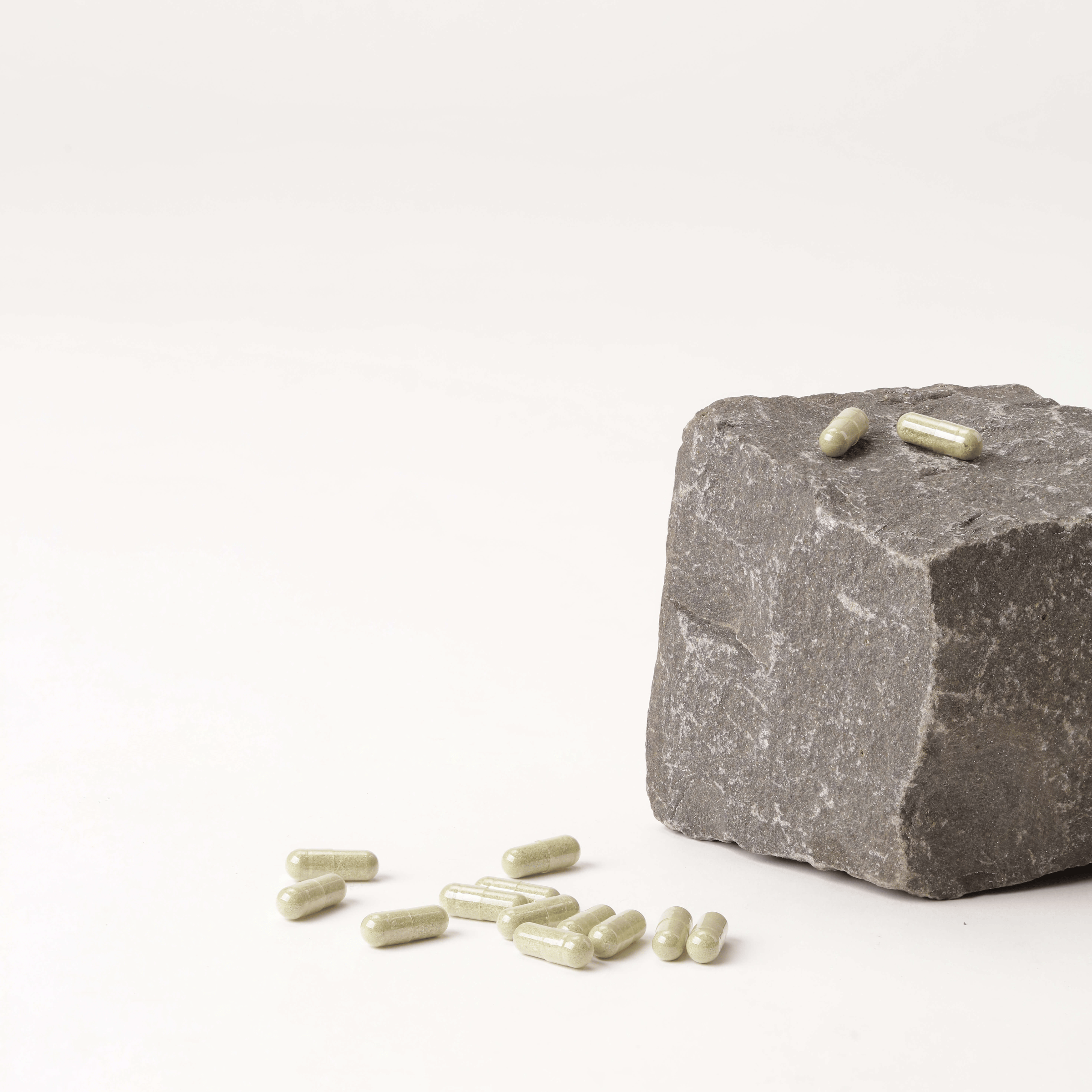 Probiotic